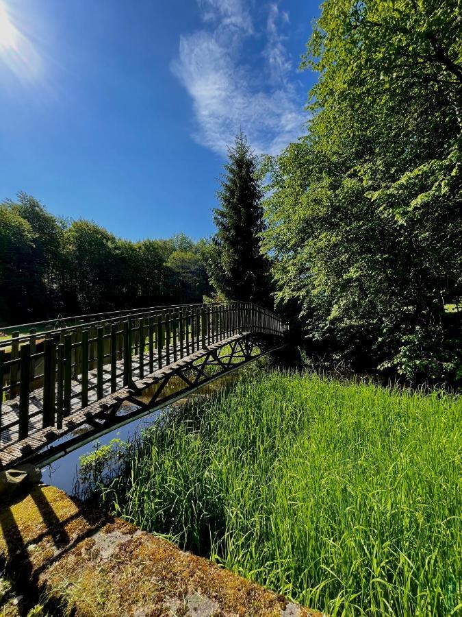 Domek W Glebi Lasu Nad Stawem Wierszyno Extérieur photo