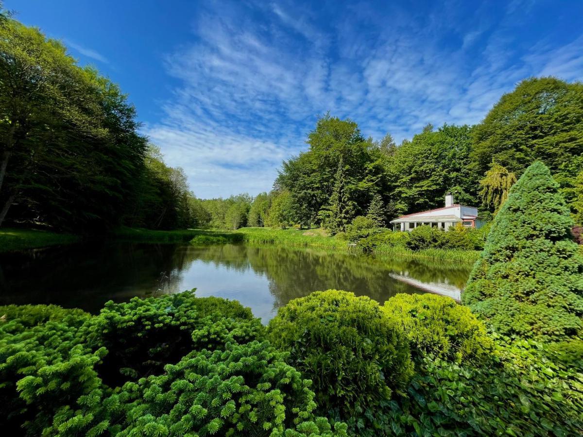 Domek W Glebi Lasu Nad Stawem Wierszyno Extérieur photo